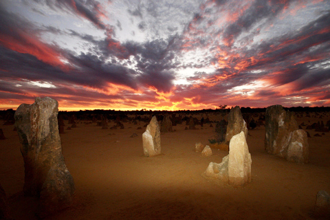 Z Perth: Pinnacles Sunset and Stargazing Tour z kolacją