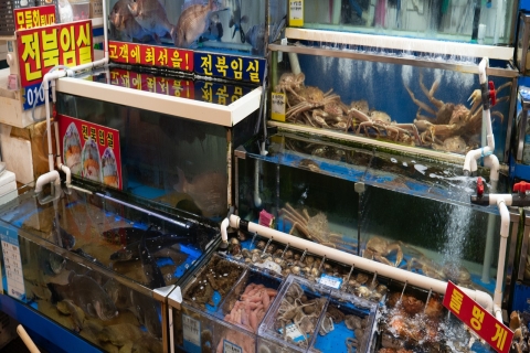 Séoul: visite guidée du marché aux poissons de Noryangjin et dégustation de plats