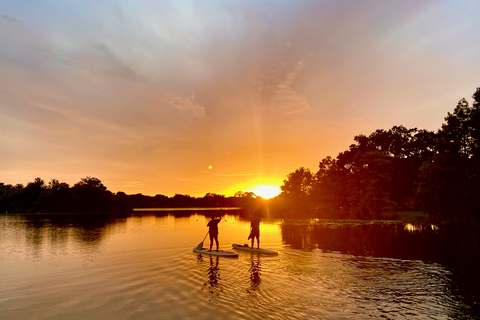 Orlando: Wycieczka kajakiem lub paddleboardem o zachodzie słońca w rajuWycieczka o zachodzie słońca