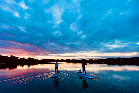 Orlando: tour al tramonto in kayak o paddleboard in ParadiseGiro al tramonto