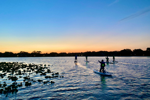 Orlando: Sunset Clear Kayak or Paddleboard in Paradise Tour Sunset Tour