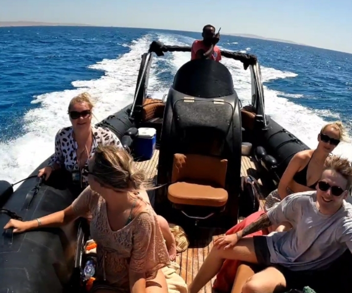 Hurghada: Private Speedboat to Dolphin House with Pickup