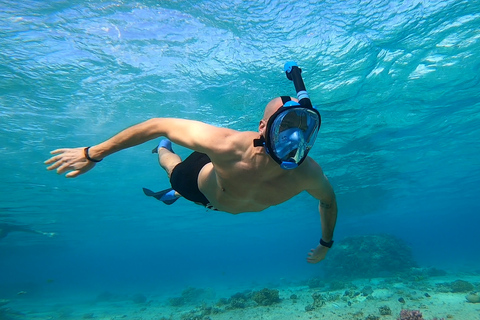 Hurghada : Excursion privée en bateau à moteur jusqu'à la Maison des dauphinsBateau rapide privé vers la maison des dauphins