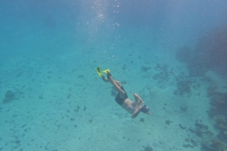 Hurghada : Excursion privée en bateau à moteur jusqu'à la Maison des dauphinsBateau rapide privé vers la maison des dauphins