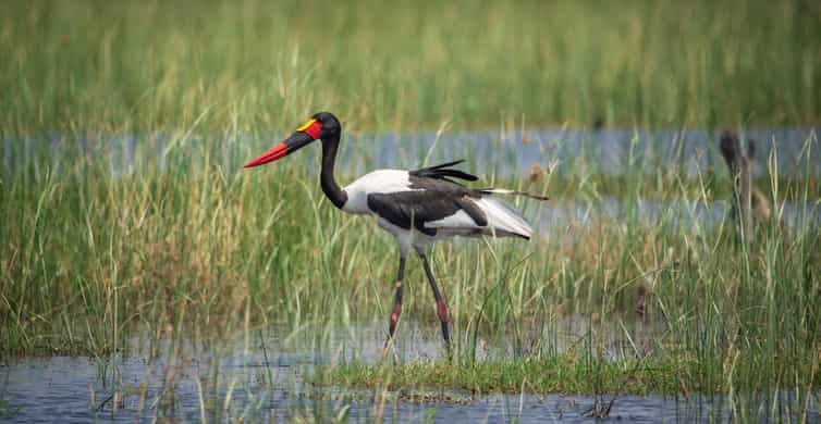 The BEST Monze, Zambia Tours and Things to Do in 2023 FREE