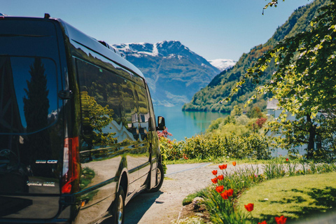 Bergen: Flåm Railway, Nærøyfjord Cruise & Stegastein View