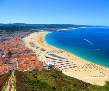 From Lisbon: Private Transfer to Porto with City Stops