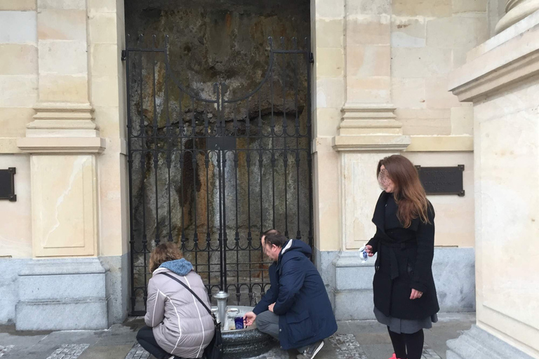 Vanuit Praag: dagvullende tour Karlovy Vary met lunchRondleiding in het Frans