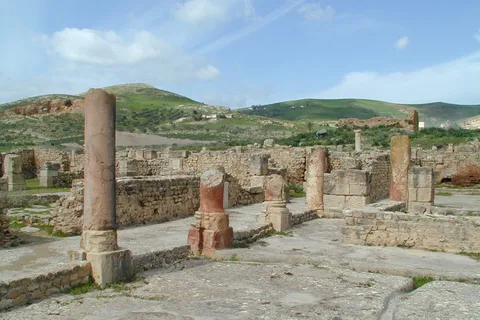De Tunis : Visite archéologique de Bulla Regia et Dougga et déjeuner