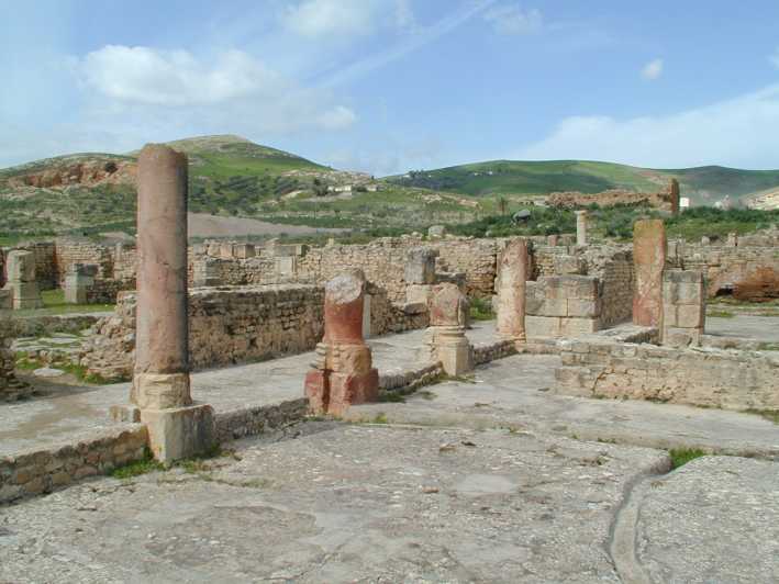 Da Tunisi: tour archeologico e pranzo di Bulla Regia e Dougga