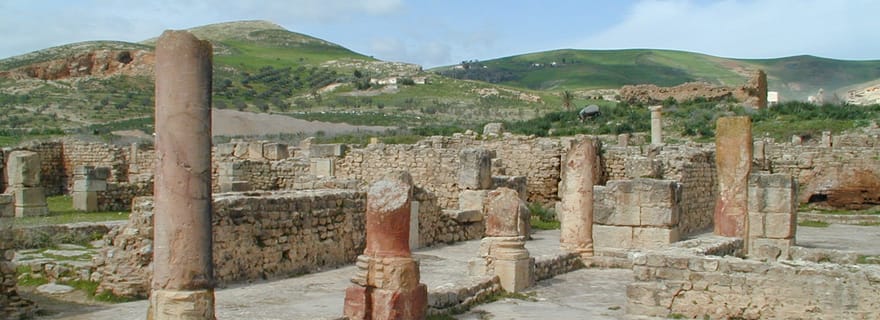 De Tunis : Visite archéologique de Bulla Regia et Dougga et déjeuner
