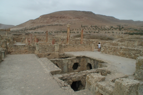 Desde Túnez: Excursión arqueológica y almuerzo en Bulla Regia y DouggaExcursión a Dougga y Bulla regia con almuerzo