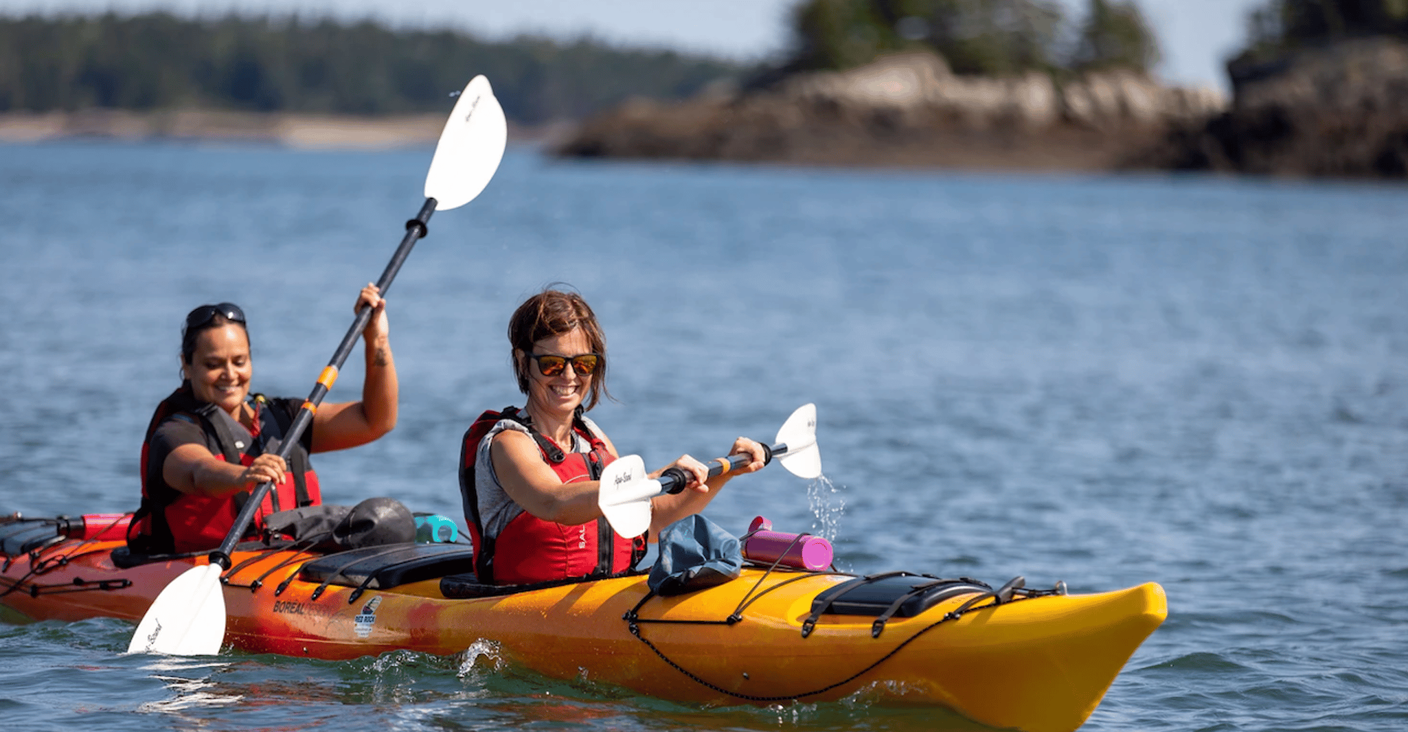 Tour guiado de Kayak con Snack en la Bahía de Fundy - Hizvo
