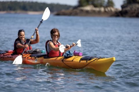 Saint Martins: Bay of Fundy Guided Kayaking Tour