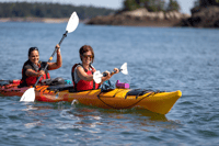 Saint John, Bay of Fundy geführte Kajaktour mit Snack - Hizvo