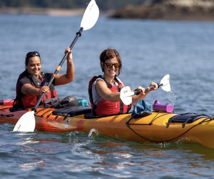Saint John: Bay of Fundy Guided Kayaking Tour with Snack