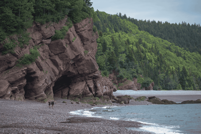 Gran río de salmones en el Fundy Trail Parkway de Nueva Brunswick