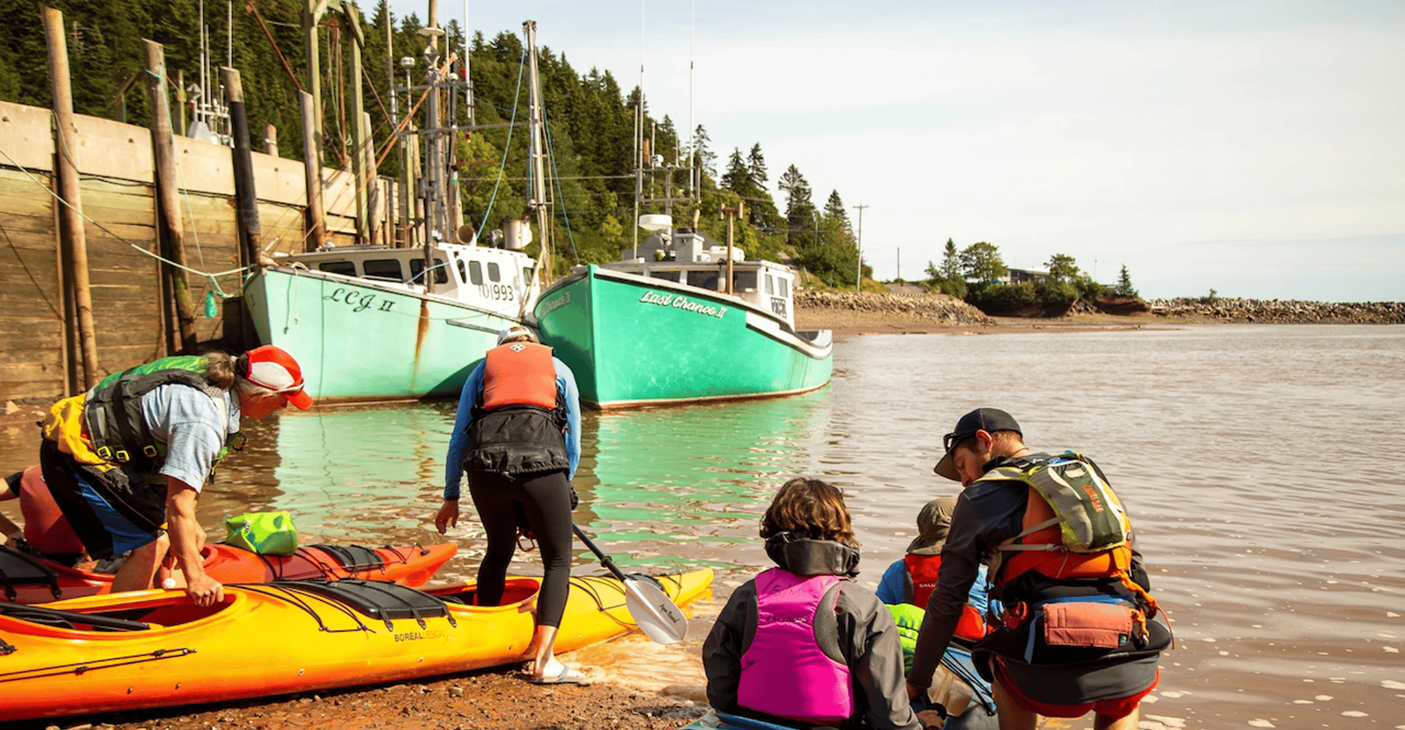Tour guiado de Kayak con Snack en la Bahía de Fundy - Hizvo