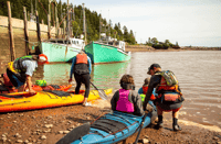 Saint John, Bay of Fundy geführte Kajaktour mit Snack - Hizvo