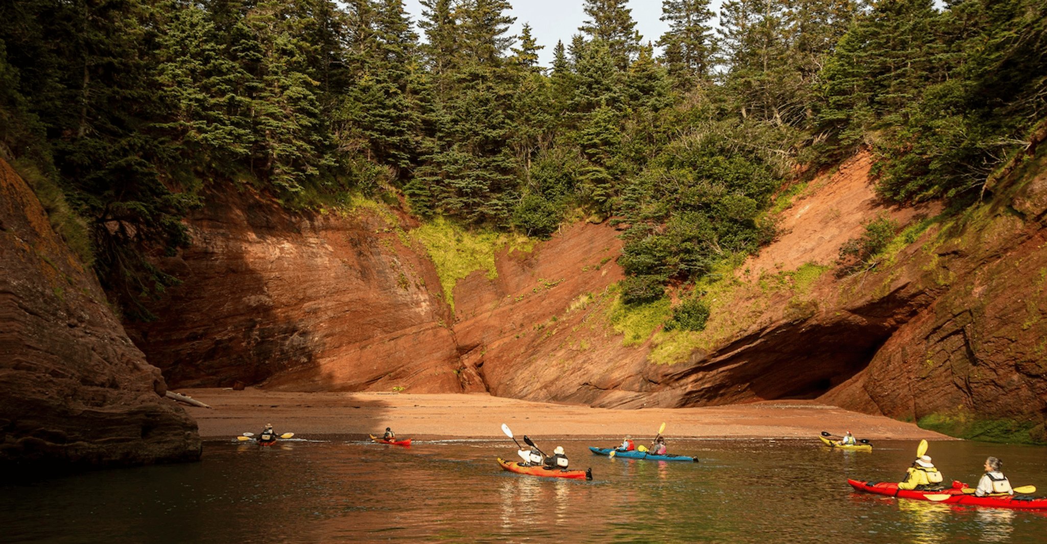 Tour guiado de Kayak con Snack en la Bahía de Fundy - Hizvo