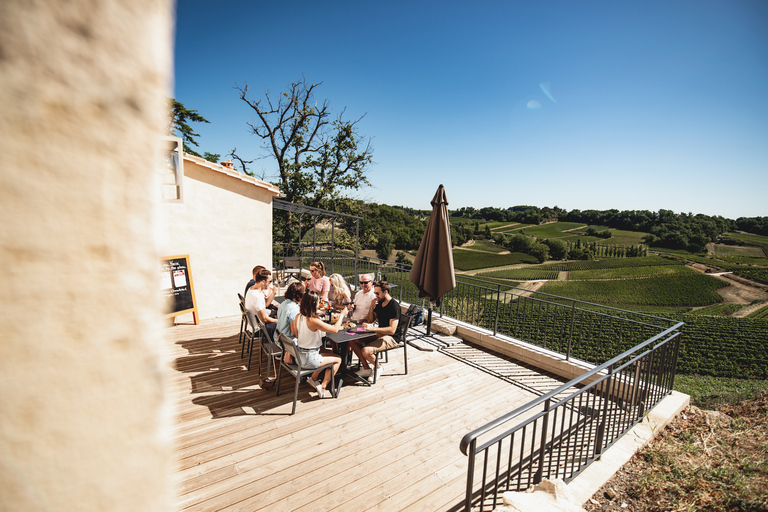 Bordeaux : excursion d'une journée à Saint-Émilion avec dégustation de vins et déjeuner