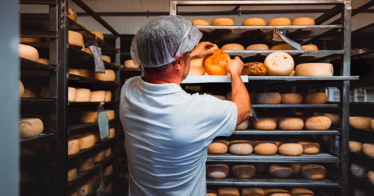 Pienza Dairy Farm Tour with Pecorino Cheese Tasting GetYourGuide