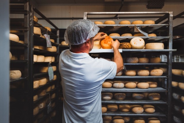 Visit Pienza Dairy Farm Tour with Pecorino Cheese Tasting in Tuscany