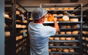 Pienza: Dairy Farm Tour with Pecorino Cheese Tasting