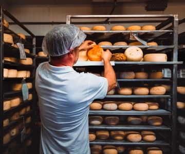 Pienza: Dairy Farm Tour with Pecorino Cheese Tasting