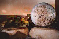 Pienza, tour della fattoria da latte con degustazione di pecorino - Housity