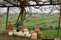 Pienza, tour della fattoria da latte con degustazione di pecorino - Housity