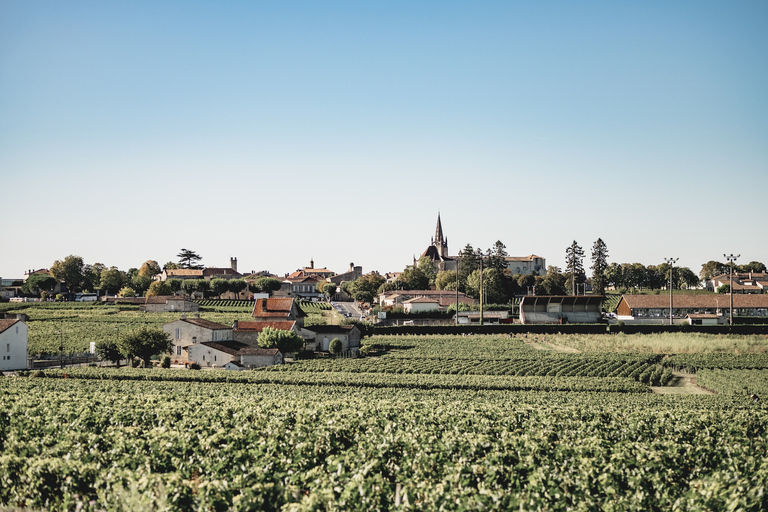 Bordeaux: St Emilion dagsutflykt med vinprovning och lunch