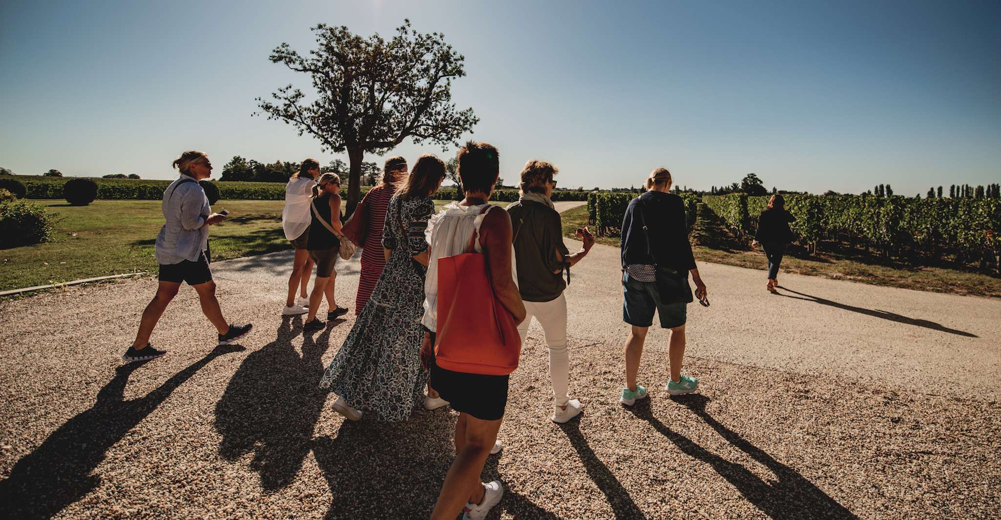Excursión de un día a Burdeos, St. Emilion con cata de vinos y almuerzo - Hizvo