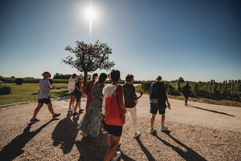 Bordeaux: Passeio de um dia a St. Emilion com degustação de vinhos e almoço