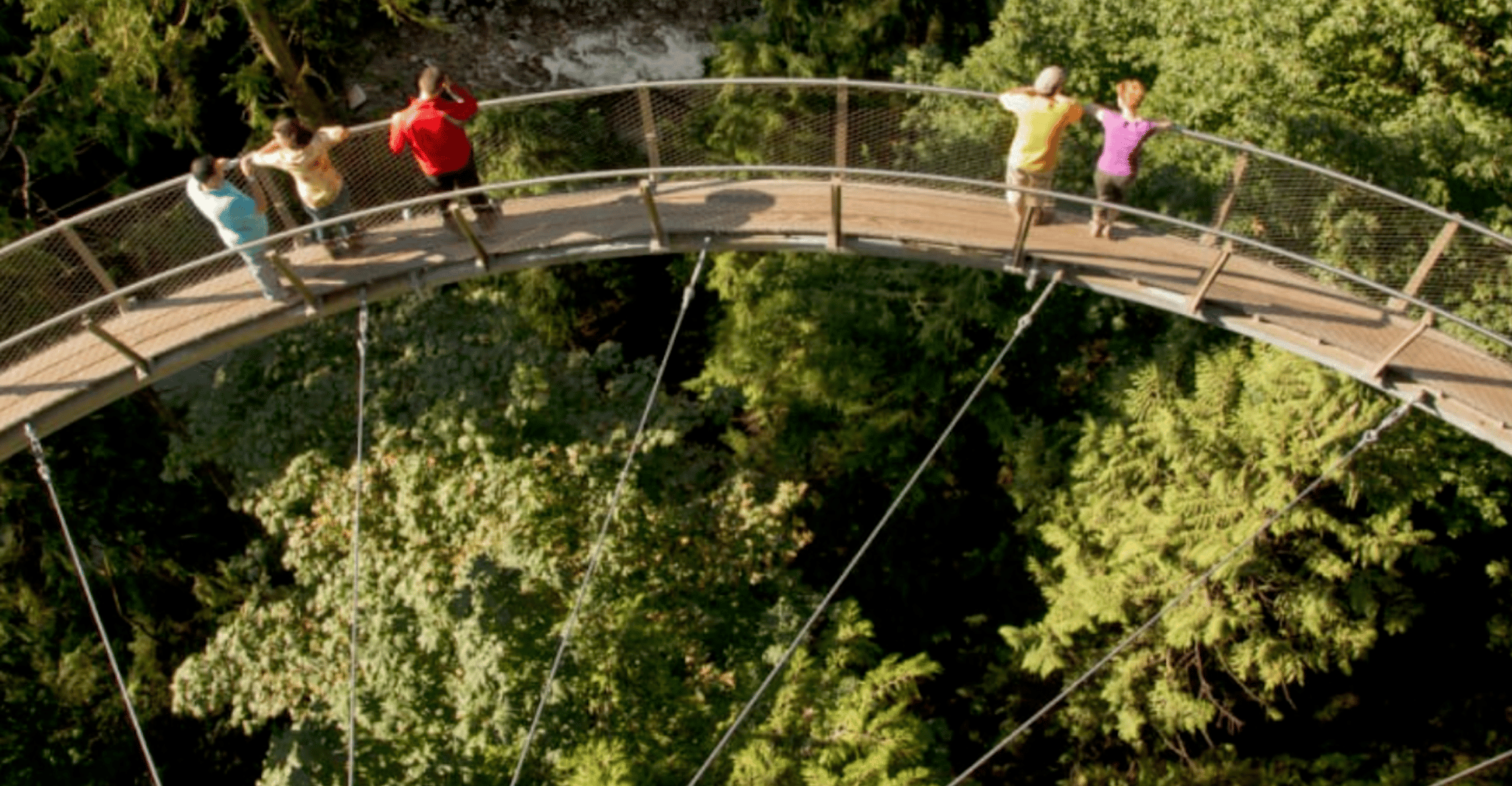 Vancouver: Small Group Tour w/Capilano & Grouse Mtn Lunch