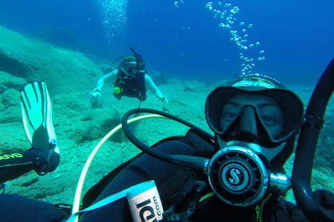 Programma di immersioni PADI per principianti a PeloponessePADI Discover Scuba Diving per principianti