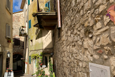 Von Florenz aus: Chianti-Hügel Halbtagestour mit WeinverkostungWeinkeller-Tour auf Englisch