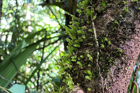 Cat Tien National Park Private Tour With Female Tour Guide Lunch is included