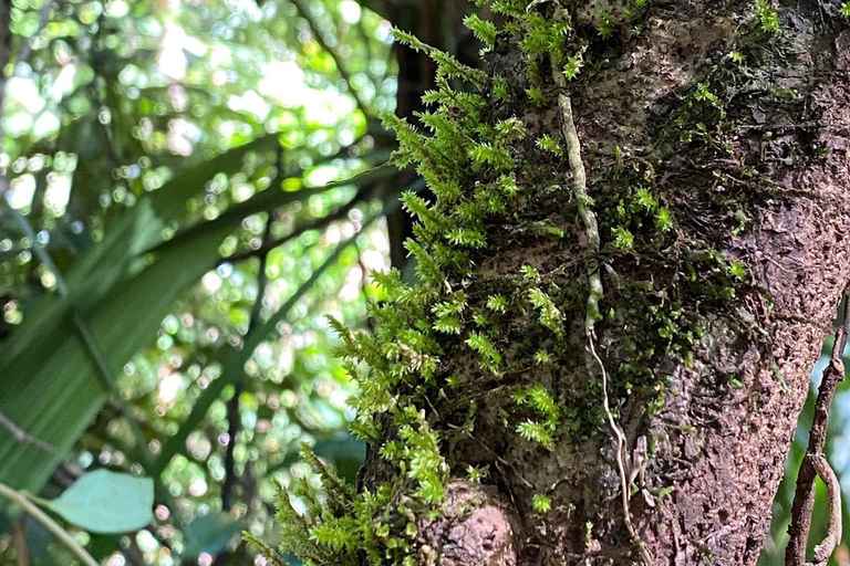 Cat Tien National Park Private Tour With Female Tour Guide Lunch is included