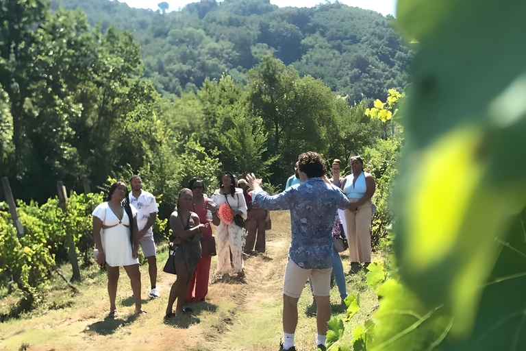 Desde Sorrento y Nápoles: Cortecorbo Experiencia de Vino y Cocina