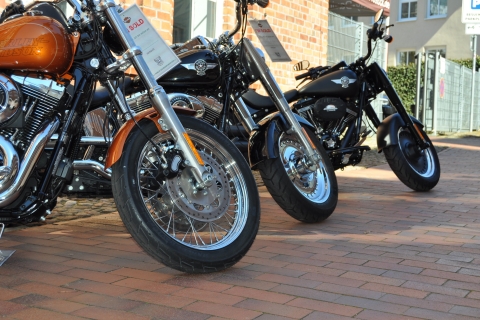 Harley-Davidson Sportster XL1200CB mieten für 1 TagHarley-Davidson Motorrad mieten für 1 Tag