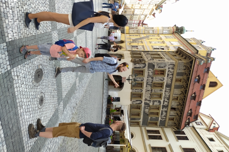 Praga: piesza wycieczka z przewodnikiem po starych, nowych i żydowskich miastachPrywatna wycieczka