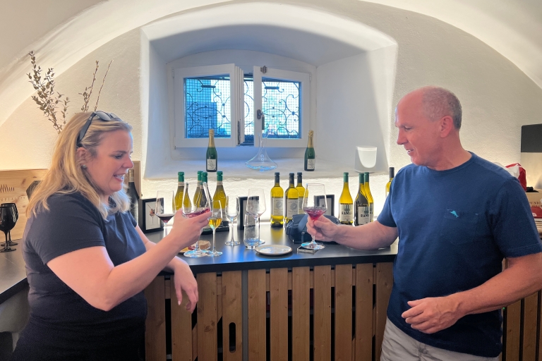 Cata de vinos de la región del Lago de los Cuatro CantonesDegustación de vinos de la región del lago de Lucerna y excursión en barco