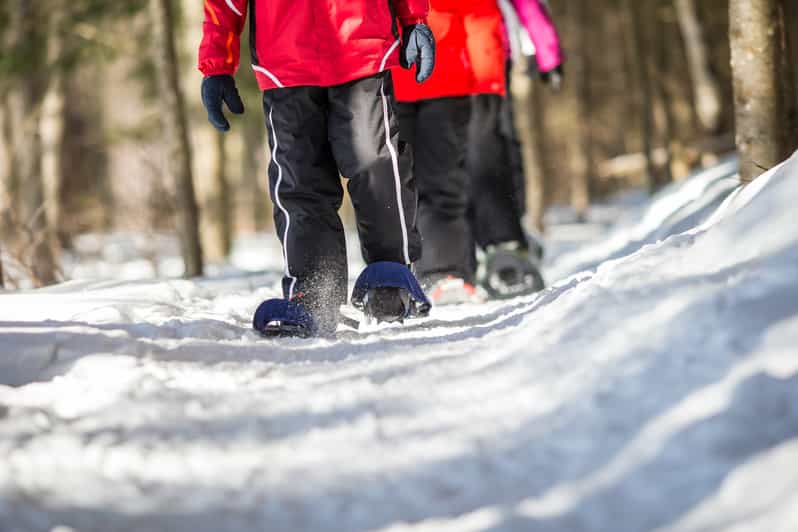 MontTremblant Snowshoe Rental GetYourGuide