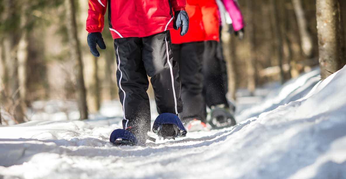MontTremblant Snowshoe Rental GetYourGuide
