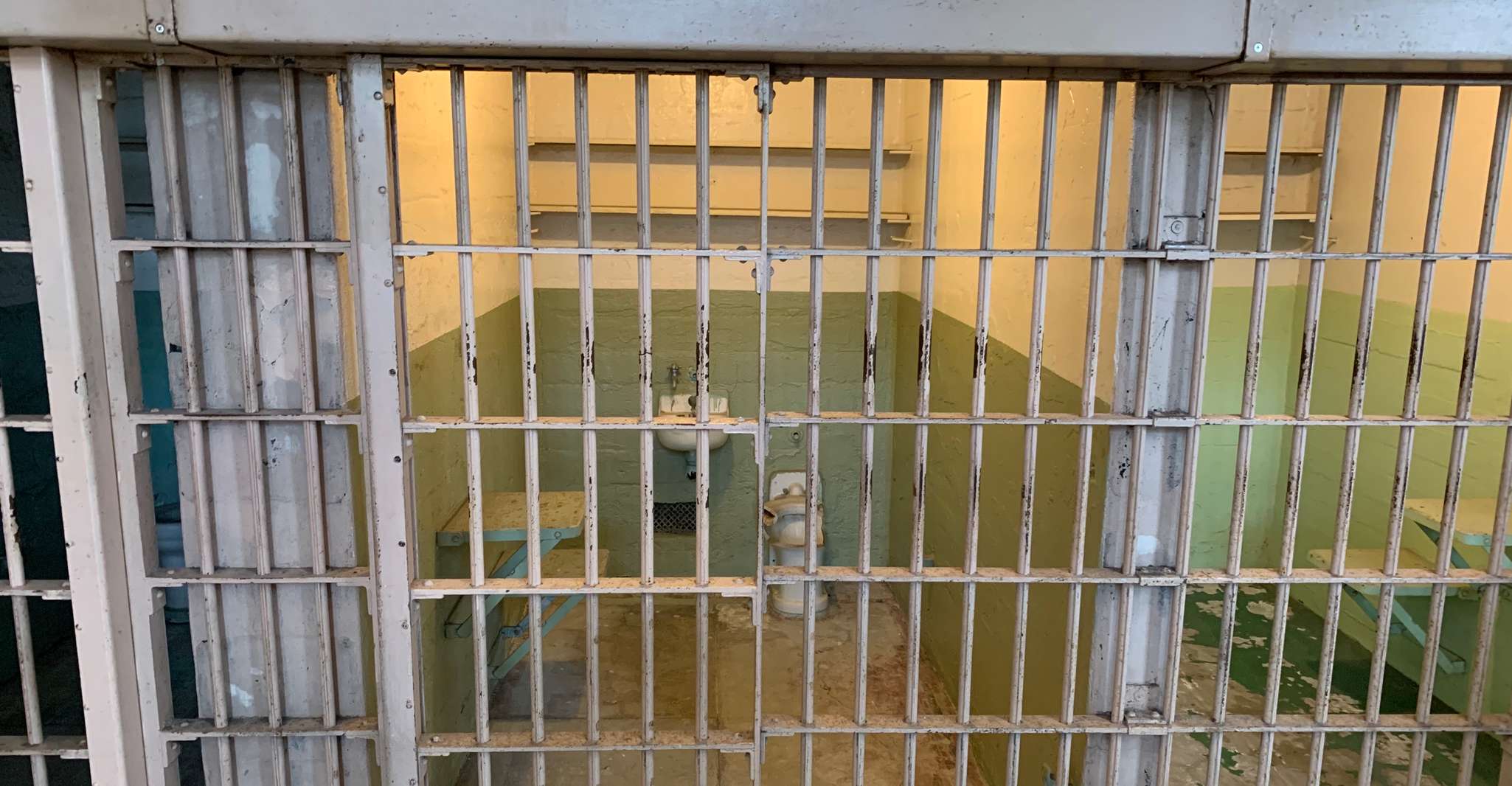 San Francisco, Muir Woods, Sausalito et Alcatraz Visite guidée - Hizvo