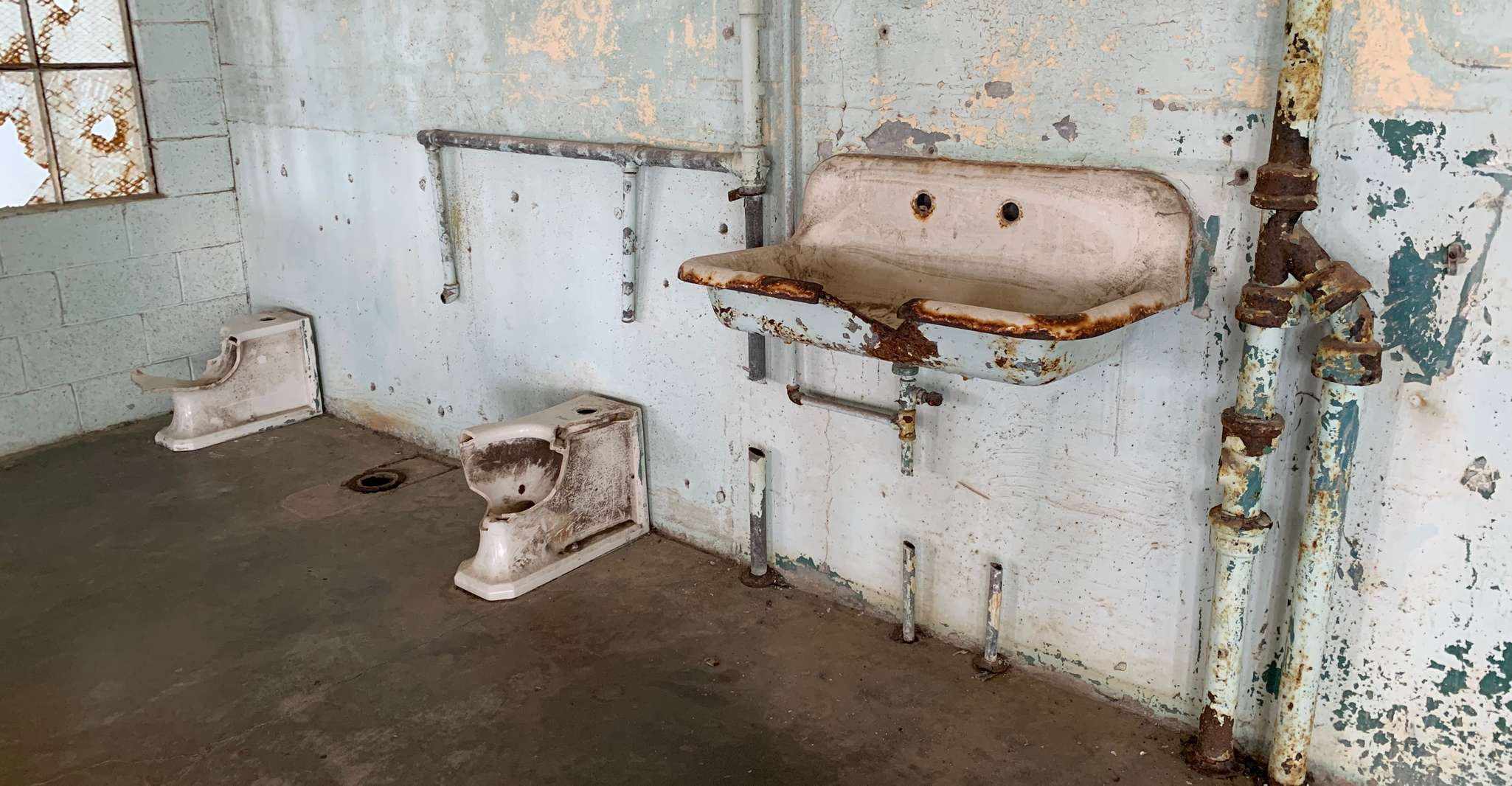 San Francisco, Muir Woods, Sausalito et Alcatraz Visite guidée - Hizvo