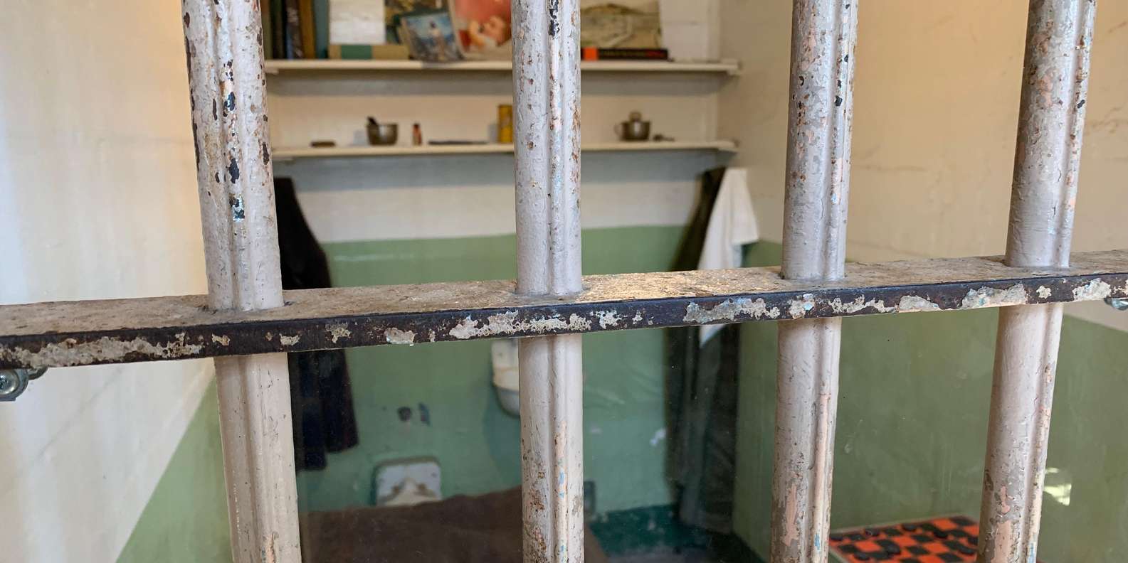 San Francisco: Alcatraz Tour with Muir Woods and Sausalito - tour image