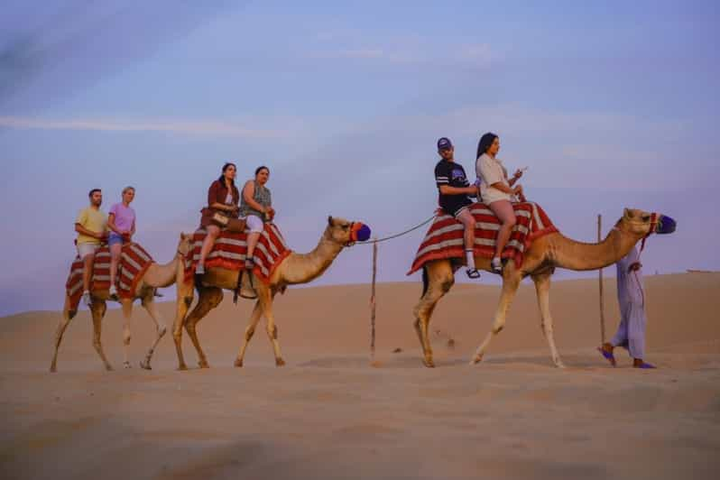 Marsa Alam Desert Stargazing Trip With Camel Ride Dinner Getyourguide