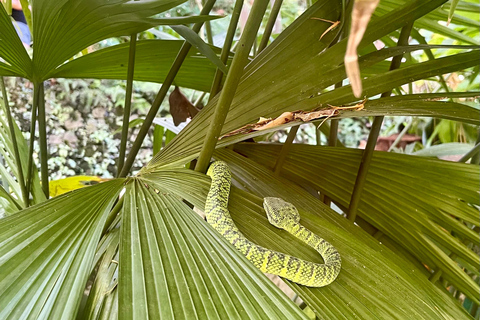 Hike or Boat Trip: Penang National Park & Garden Pick Penang National Park (Trek-In, Boat-Out) & Spice Garden